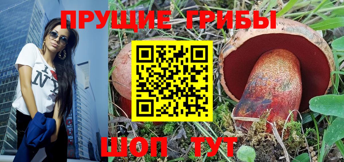 Псилоцибиновые грибы Cubensis Ливны