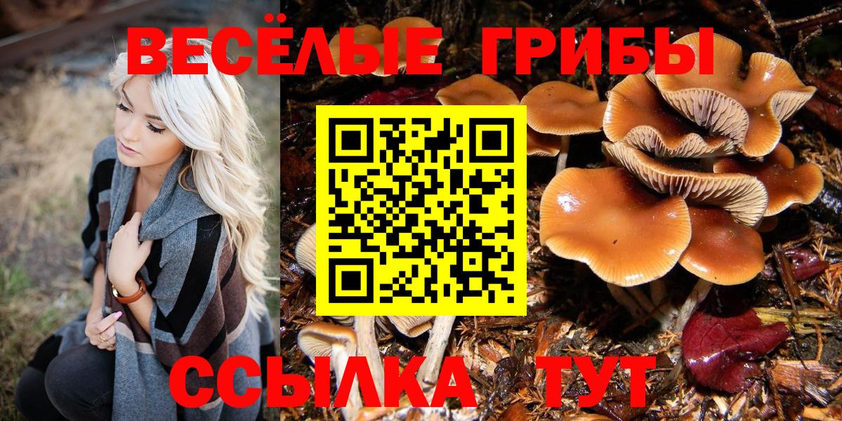 Псилоцибиновые грибы GOLDEN TEACHER  Галлюциногенные грибы мицелий  Ливны  Вход с VPN 